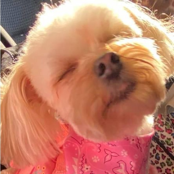 🧁 $5 Box Bundles - Live Show Deals 🛼 🛼 🛼 - Picture 7 of 8